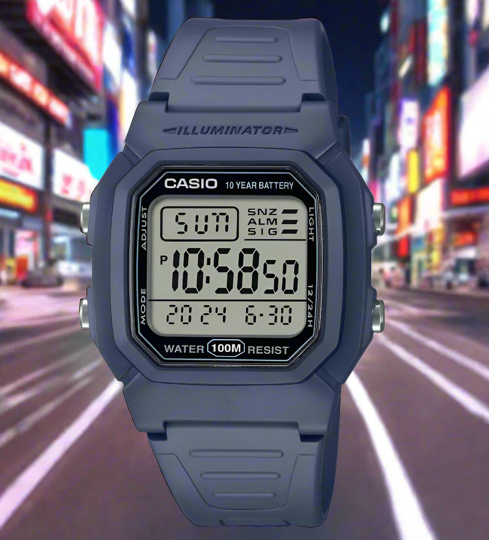CASIO W800H-2AVDF D333