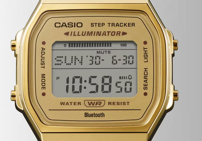 CASIO ABL-100WEG-9ADF - D368