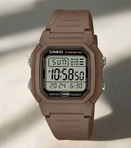 CASIO W800H-5AVDF - D334