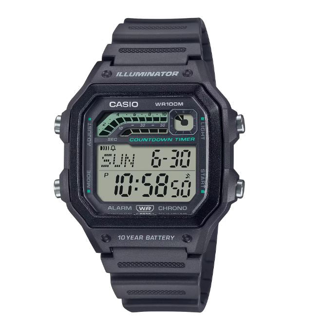 CASIO WS-1600H-8AVDF - D310